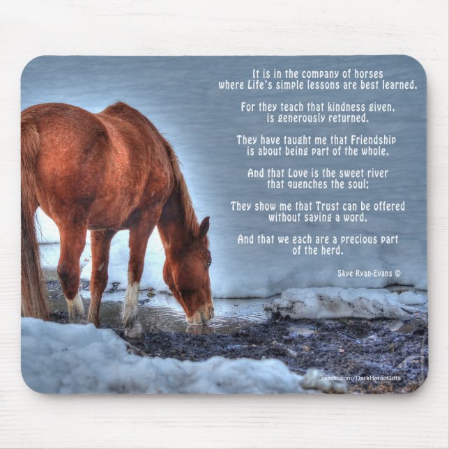 Dun Ranch Horse Drink am Pool Equine Foto Mousepad (Vorne)