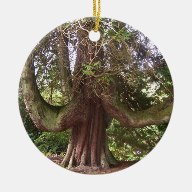 DUNANS BAUM Schottland Keramik Ornament (Vorne)