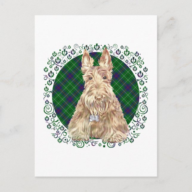 Duncan Tartan Scottie Postkarte (Vorderseite)