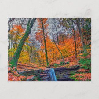 Dundee Falls in Herbst, Ohio Postkarte