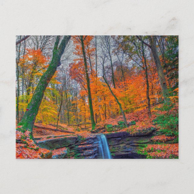 Dundee Falls in Herbst, Ohio Postkarte (Vorderseite)