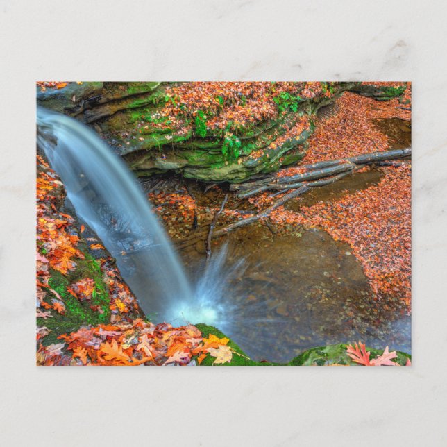 Dundee Falls in Herbst, Ohio Postkarte (Vorderseite)