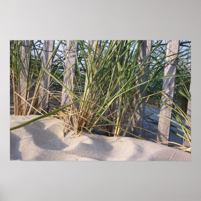 Dune Grass Poster (Vorne)