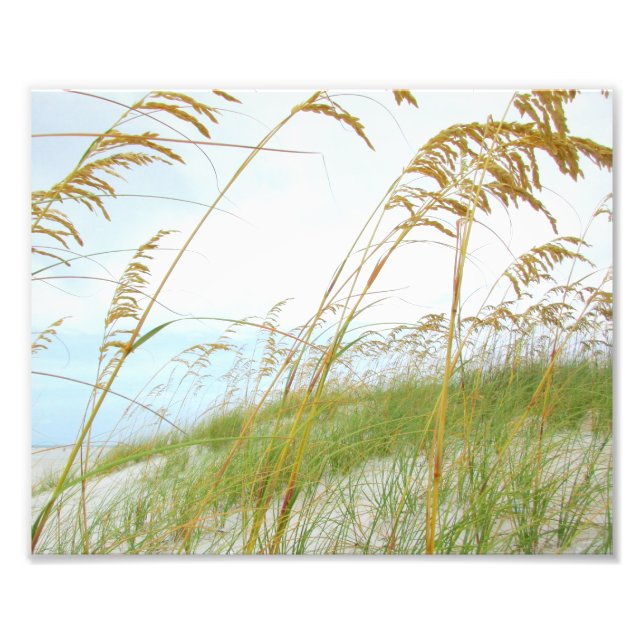 Dune Grass White Sand Beach Fotodruck (Vorne)