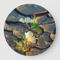 Dune Primrose wächst aus Rackel