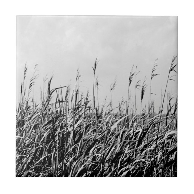 Dune Triptych III Fliese (Vorderseite)