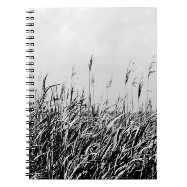 Dune Triptych III Notizblock (Vorderseite)