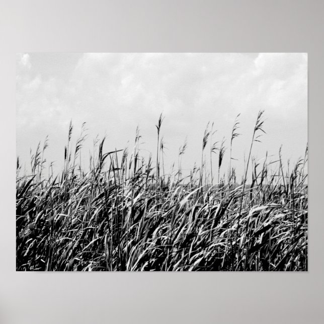 Dune Triptych III Poster (Vorne)