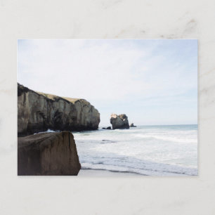 Dunedin Beach Postkarte