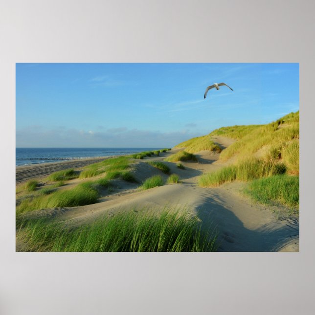 Dünen an der Nordsee Poster (Vorne)