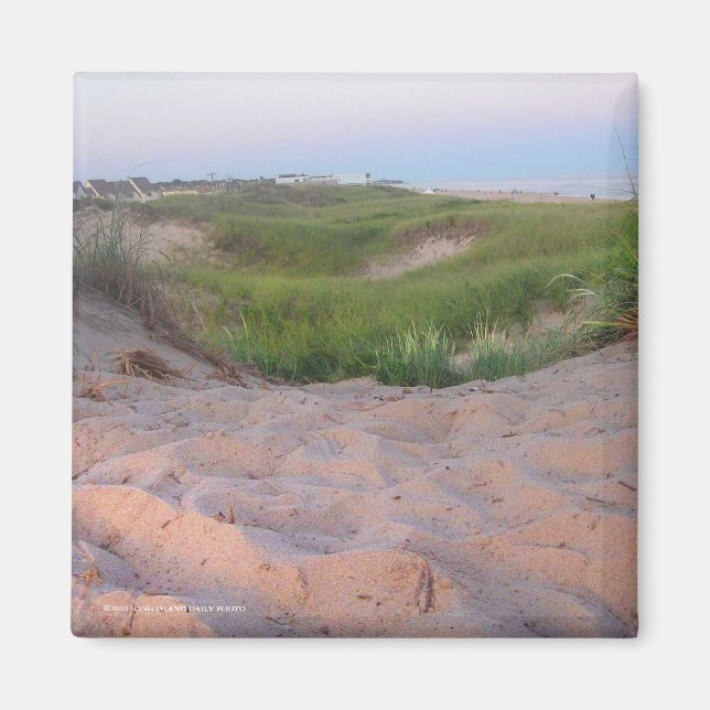 Dünen in Montauk Magnet (Vorne)