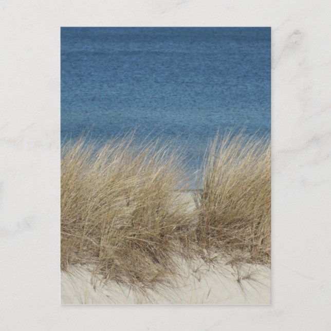 Dünen Postkarte (Vorderseite)
