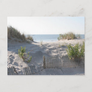 Dünen-Postkarte Postkarte