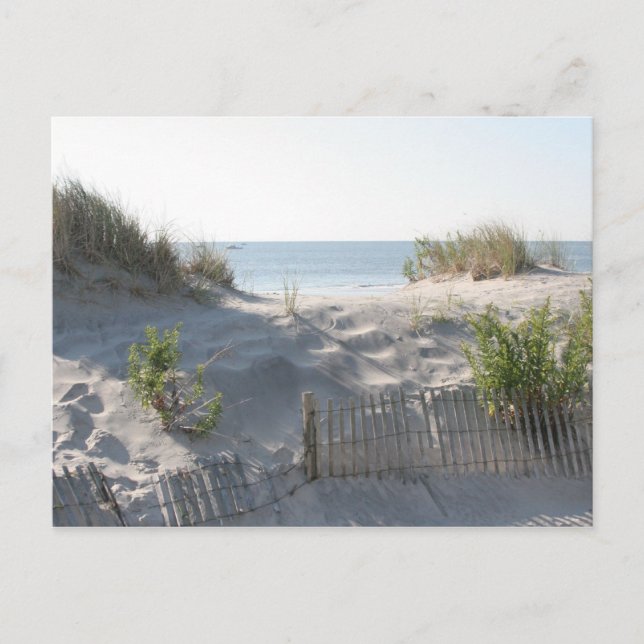 Dünen-Postkarte Postkarte (Vorderseite)