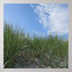 Dünen, Sandposter Poster