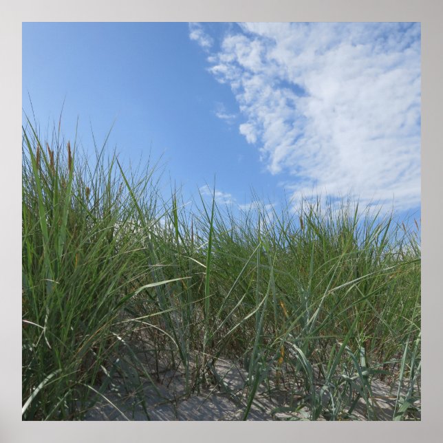 Dünen, Sandposter Poster (Vorne)