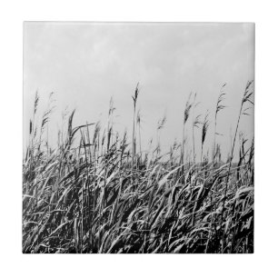 Dünen-Triptychon III Fliese