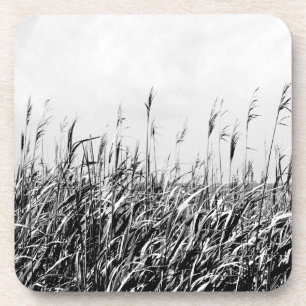 Dünen-Triptychon III Getränkeuntersetzer