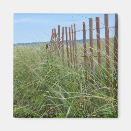 Dünen von Cape Cod Magnet