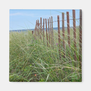 Dünen von Cape Cod Magnet