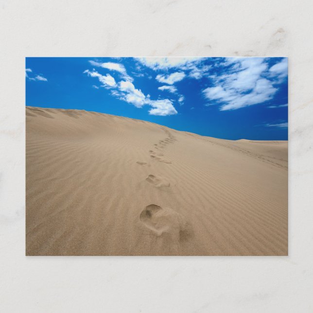 Dünen von Gran Canaria Postkarte (Vorderseite)