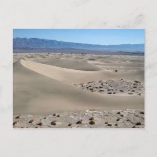 Dunes im Todetal 2 Postkarte