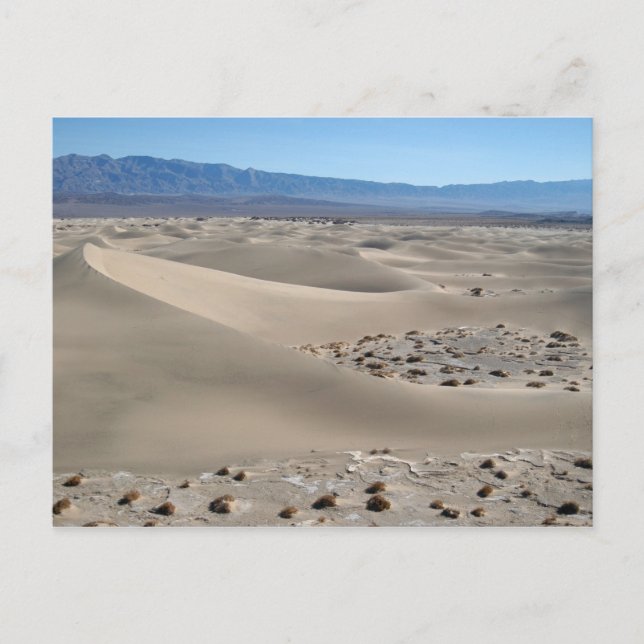 Dunes im Todetal 2 Postkarte (Vorderseite)