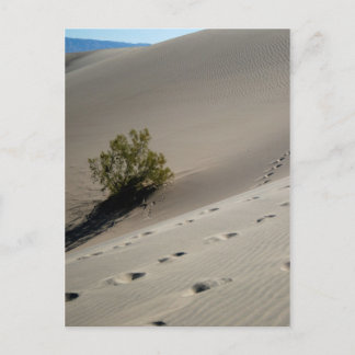Dunes im Todetal 4 Postkarte
