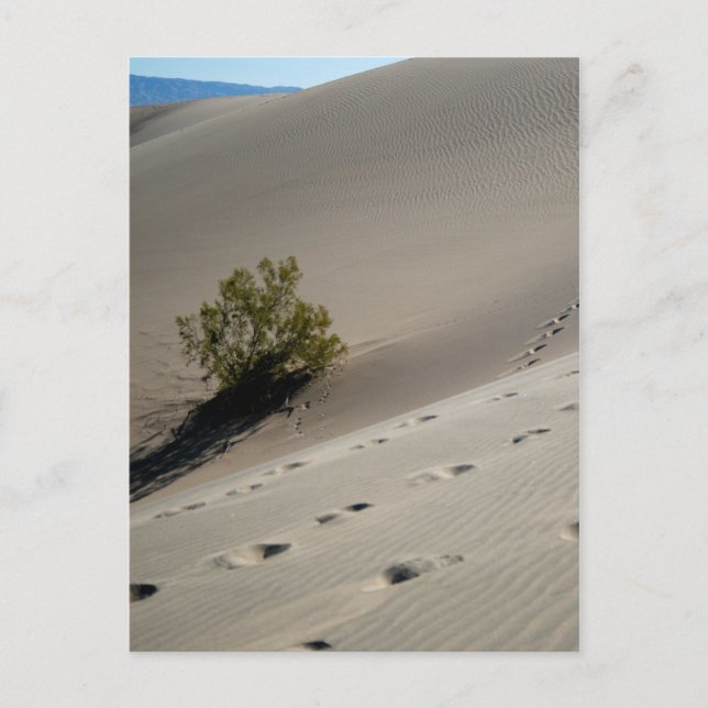 Dunes im Todetal 4 Postkarte (Vorderseite)