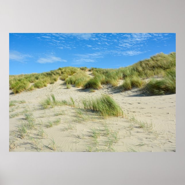 Dunes Magic - - Akryllische Printwerbung Poster (Vorne)