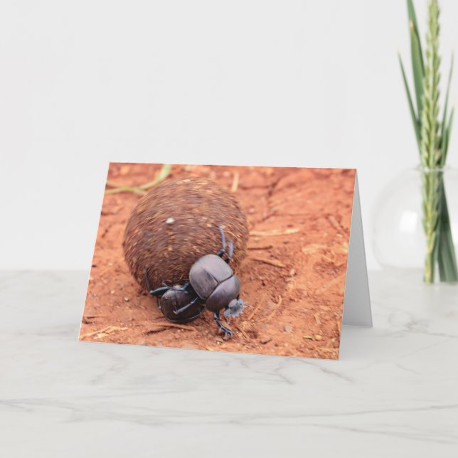 Dung geschieht feiertagskarte (Vorderseite)