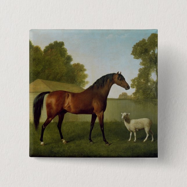 Dungannon, das Eigentum von Oberst O'Kelly Button (Vorderseite)