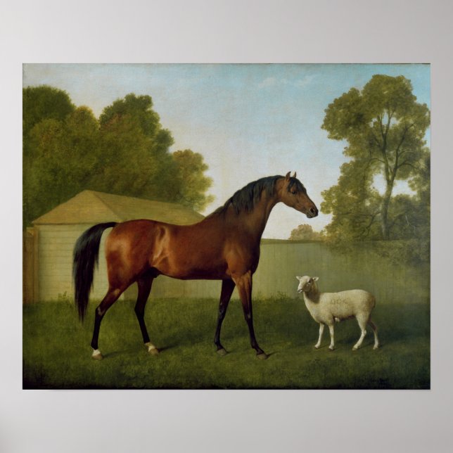 Dungannon, Eigentum von Oberst O'Kelly Poster (Vorne)