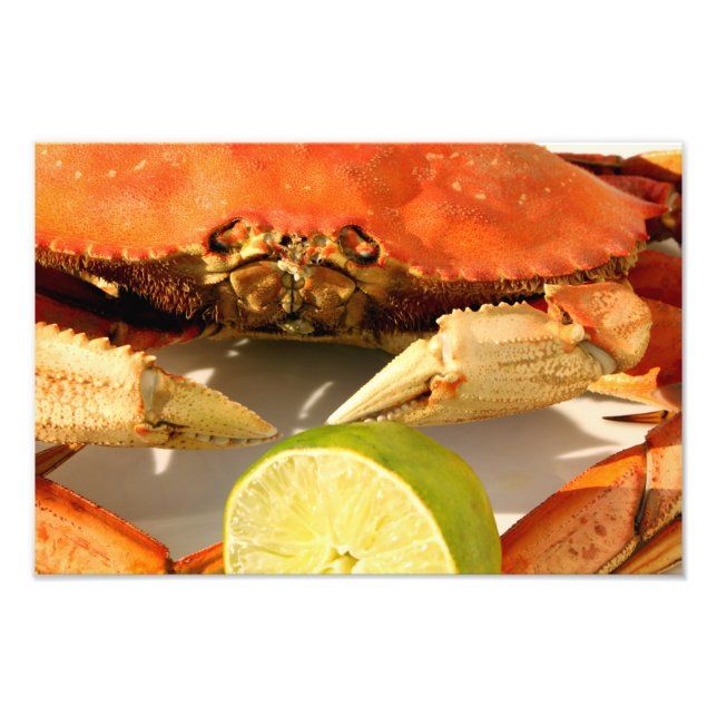 Dungeness Crab Foto Print (Vorne)