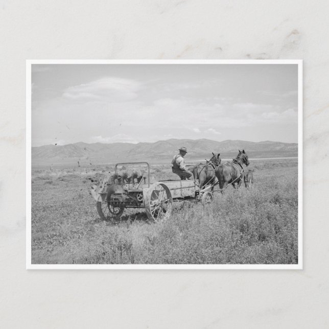 Düngerspreader Postkarte (Vorderseite)