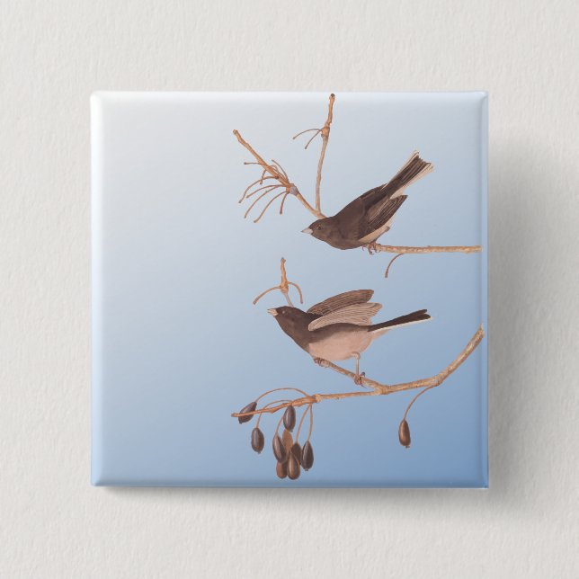 Dunkel-Mit Augen Junco Audubon-Schneebären auf der Button (Vorderseite)