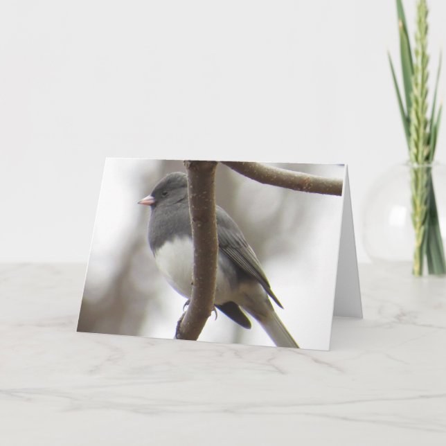 Dunkel-mit Augen Junco-Gruß-Karte Karte (Vorderseite)