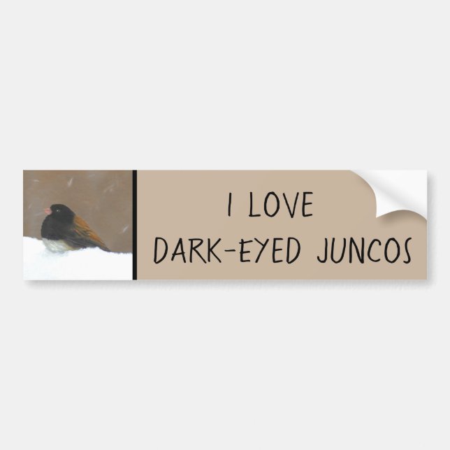 Dunkel-Mit Augen Junco-Malerei - ursprüngliche Autoaufkleber (Vorne)