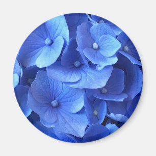 Dunkelblauer Hydrangeas Magnet