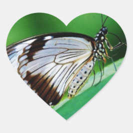 Dunkelbraun und Grauschmetterling Herz-Aufkleber