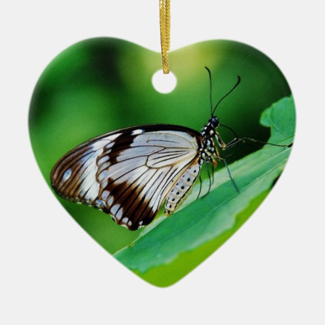 Dunkelbraun und Grauschmetterling Keramik Ornament (Vorne)