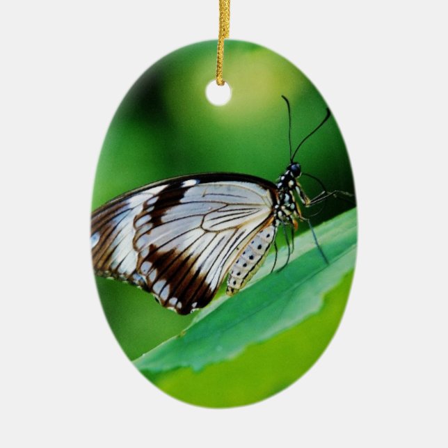 Dunkelbraun und Grauschmetterling Keramikornament (Vorne)