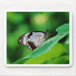 Dunkelbraun und Grauschmetterling Mousepad