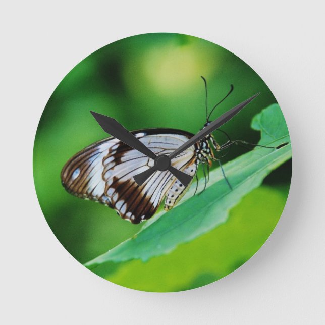 Dunkelbraun und Grauschmetterling Runde Wanduhr (Vorderseite)