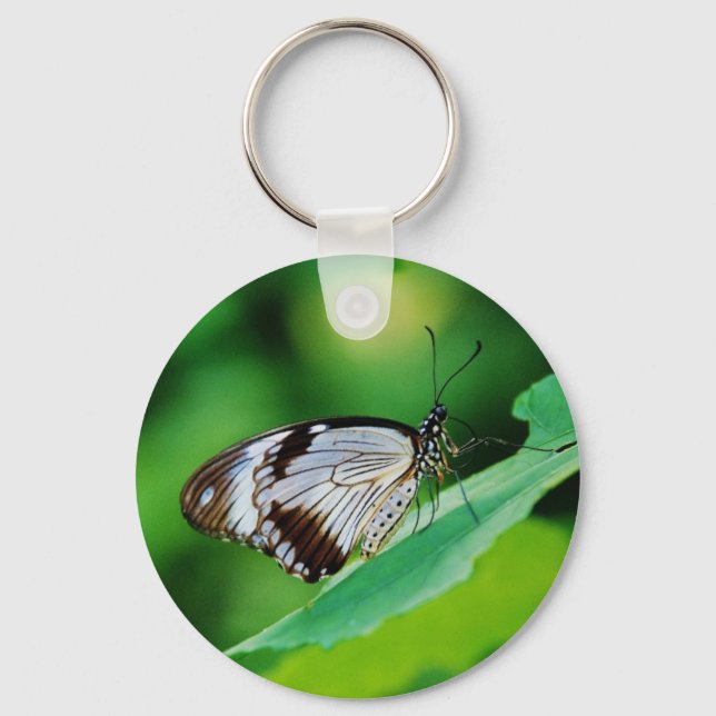 Dunkelbraun und Grauschmetterling Schlüsselanhänger (Vorderseite)