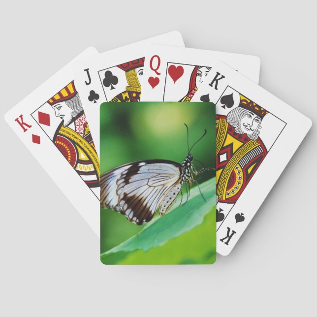 Dunkelbraun und Grauschmetterling Spielkarten (Rückseite)