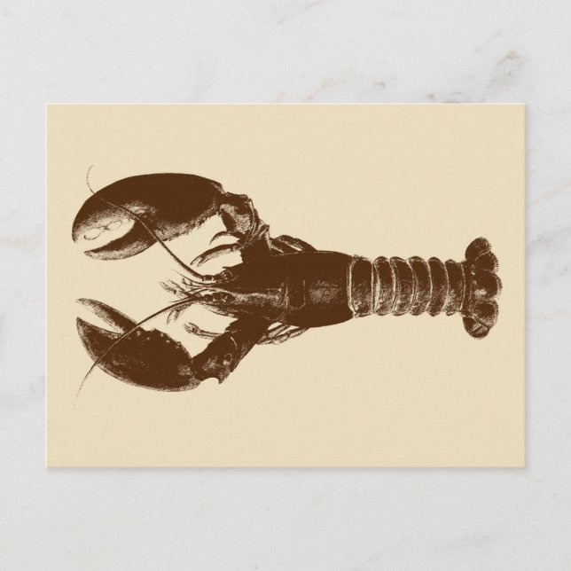 Dunkelbraune Hummer auf hellbeige Postkarte (Vorderseite)
