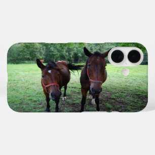 Dunkelbraune Pferde auf der Weide iPhone 16 Hülle