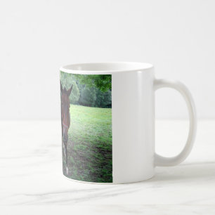 Dunkelbraune Pferde auf der Weide Tasse