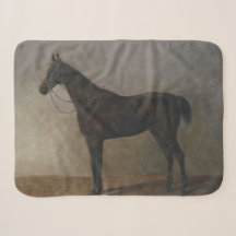 Dunkelbraunes Gelbpferd (Vintage Tierkunst)